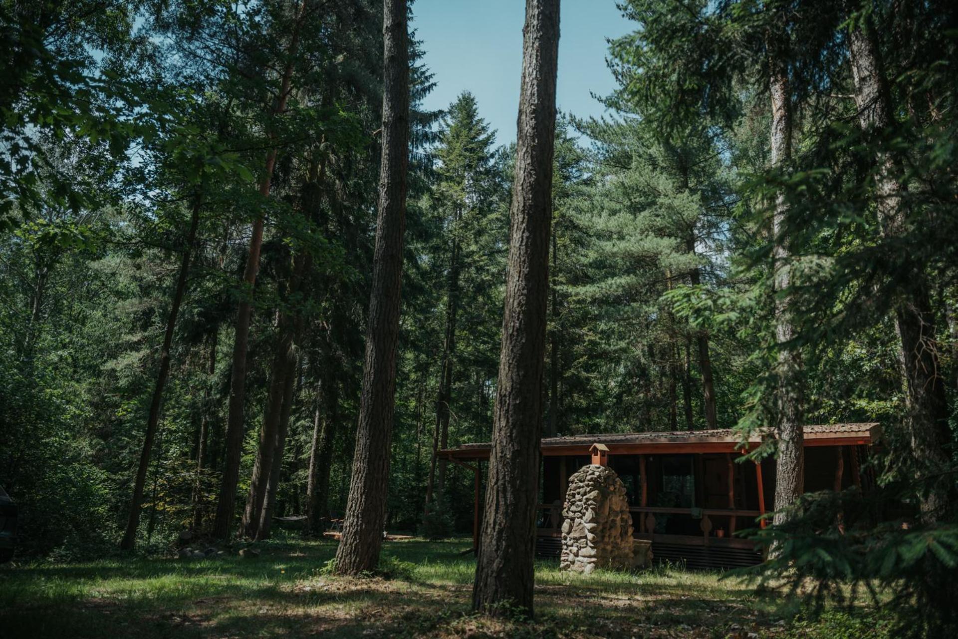 Forest Cabin - 50Min Od Warszawy Wola Polska Exterior foto