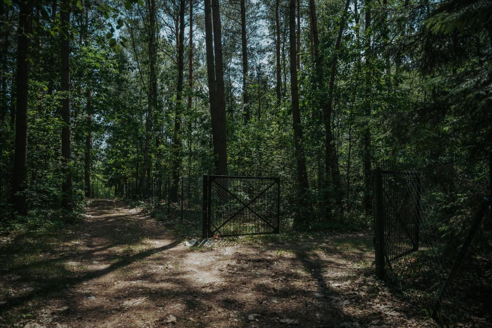 Forest Cabin - 50Min Od Warszawy Wola Polska Exterior foto